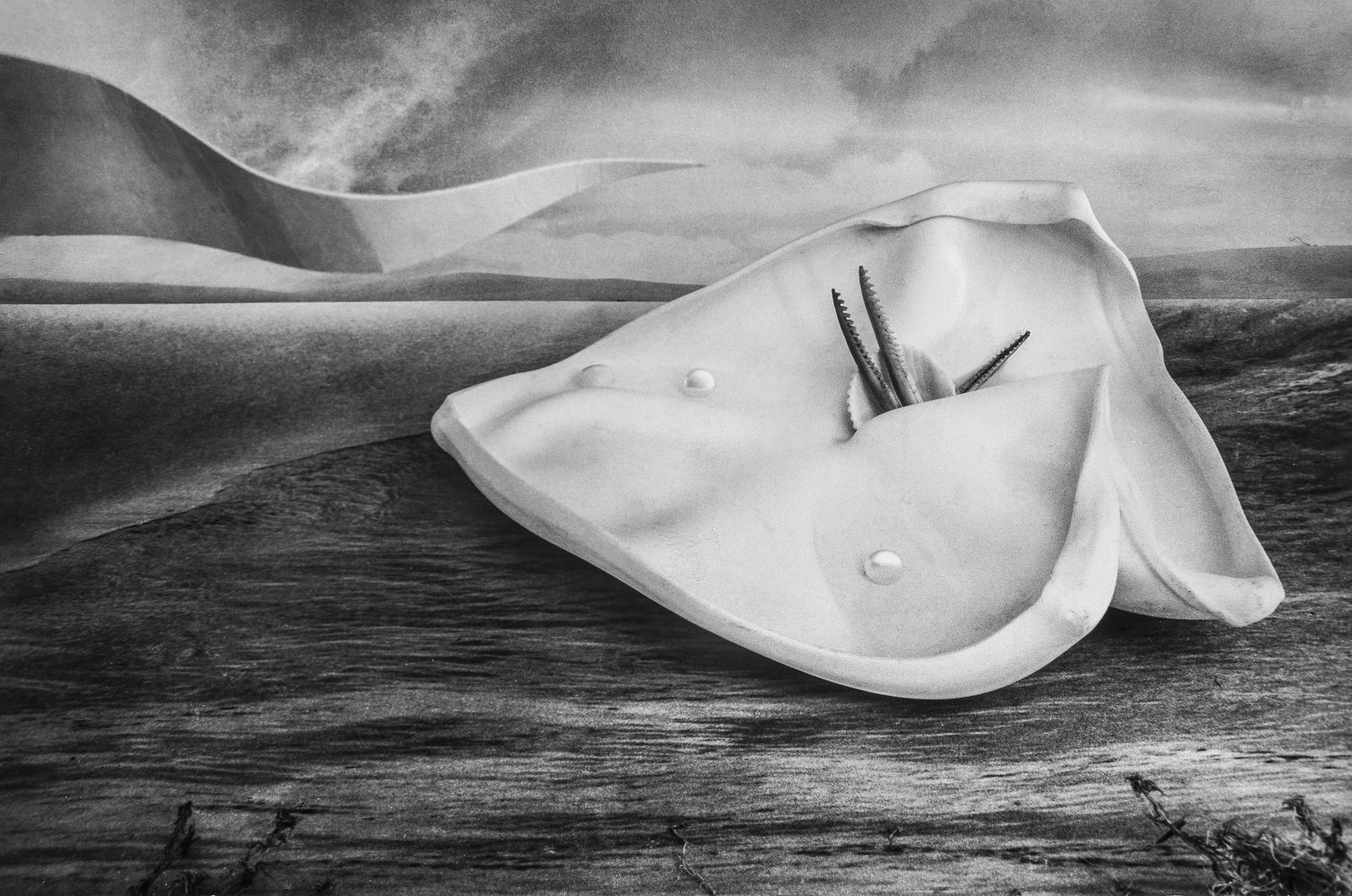 ч/б ручная оптическая печать, бром-серебряная печать (50х75см)